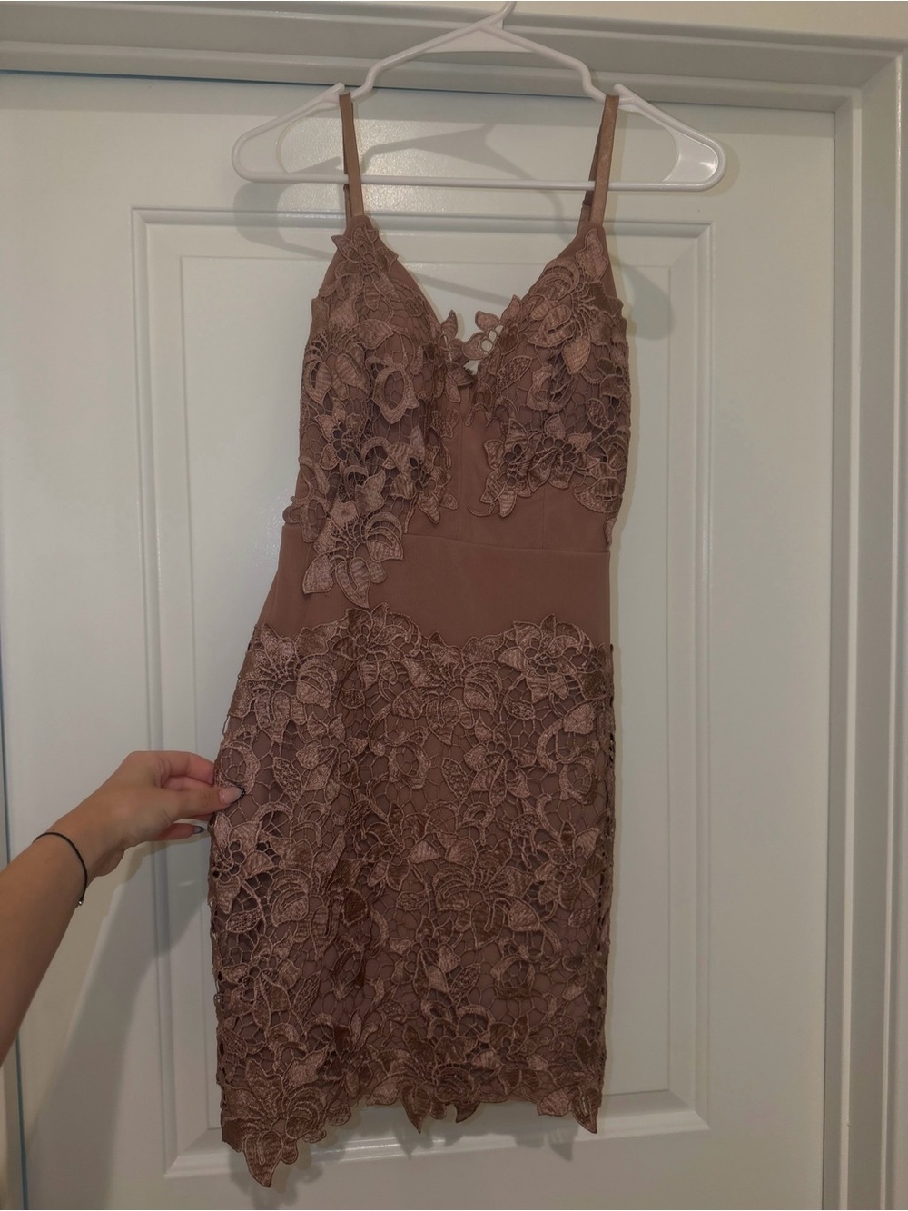 Windsor Dusty Rose Lace Mini Dress
